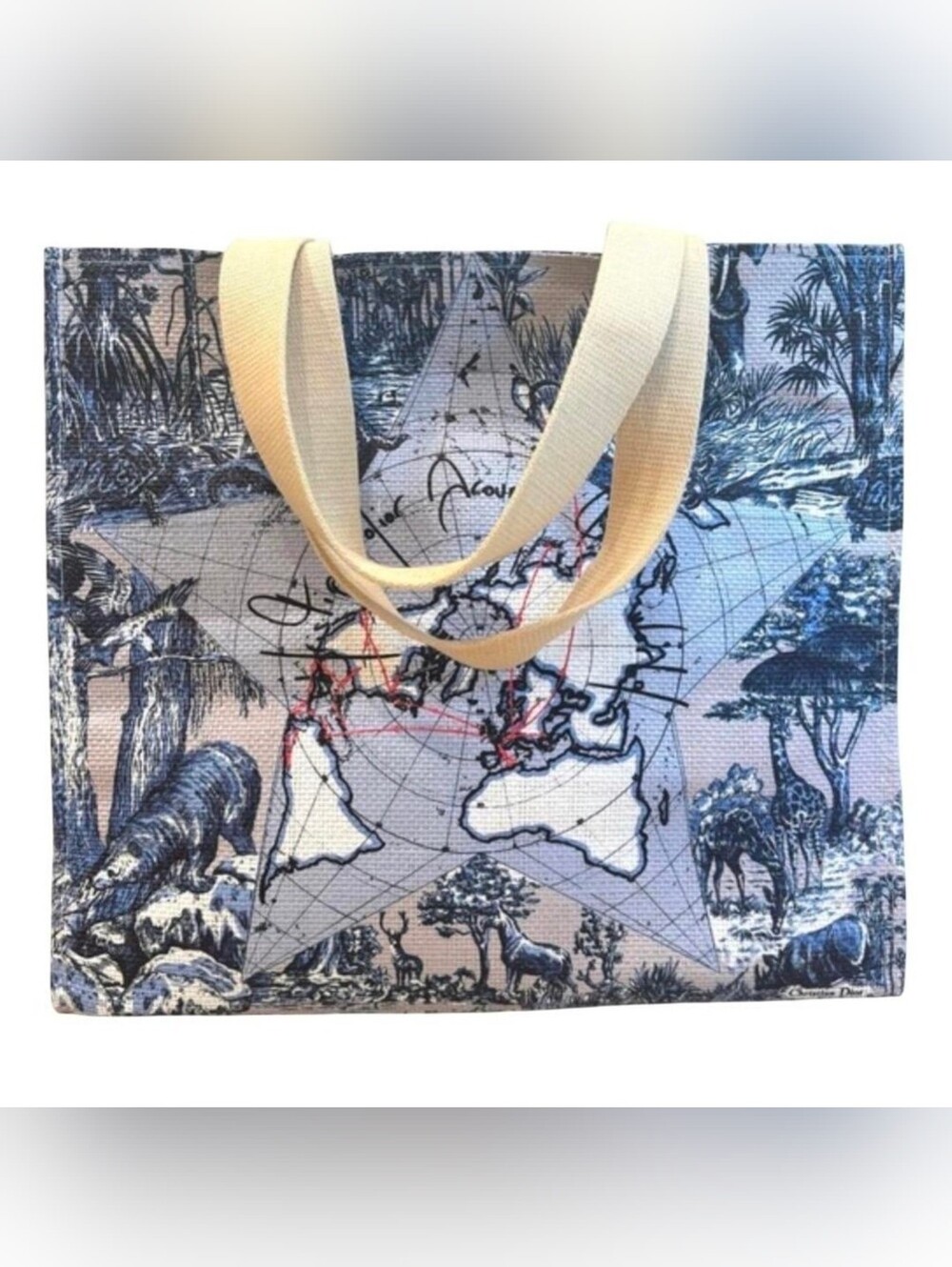 Dior Around The World Beauty Canvas Tote